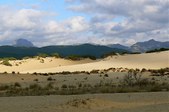 Enlarge photo 41