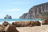 Enlarge photo 31