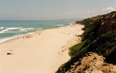 Enlarge photo 38