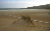 Enlarge photo 42