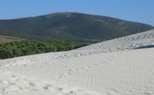 Enlarge photo 43