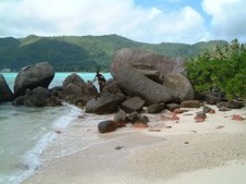 Enlarge photo 8