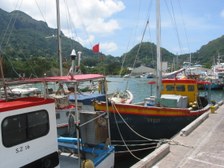 Enlarge photo 15