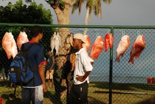 Enlarge photo 16