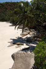 Enlarge photo 17