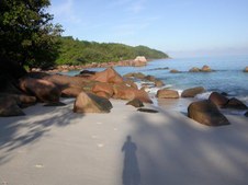 Enlarge photo 14