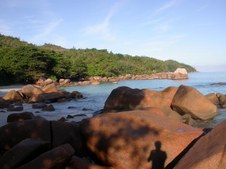 Enlarge photo 19