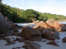 Enlarge photo 23