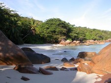 Enlarge photo 26