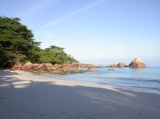 Enlarge photo 27