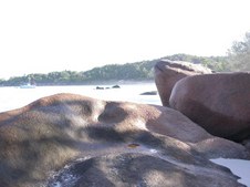 Enlarge photo 30