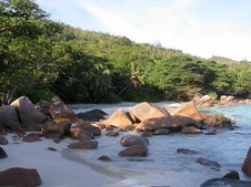 Enlarge photo 33