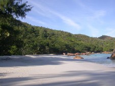 Enlarge photo 36