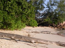 Praslin Island