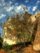 Enlarge photo 12