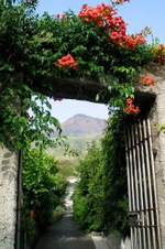 Enlarge photo 25