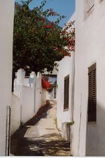 Enlarge photo 26