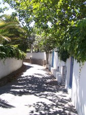 Enlarge photo 28
