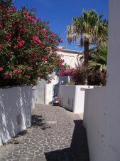 Enlarge photo 30