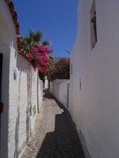 Enlarge photo 31