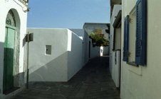 Enlarge photo 33