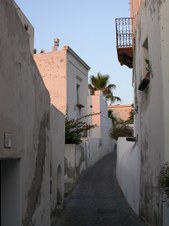 Enlarge photo 35