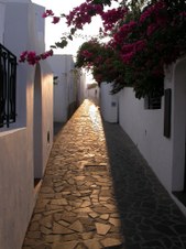 Enlarge photo 36