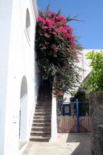 Enlarge photo 42