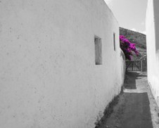 Enlarge photo 43