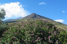 Stromboli