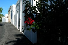 Enlarge photo 47