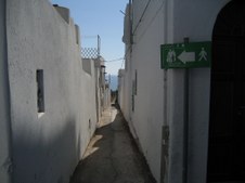 Enlarge photo 48