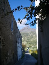 Enlarge photo 49