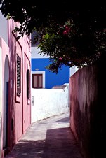Enlarge photo 53