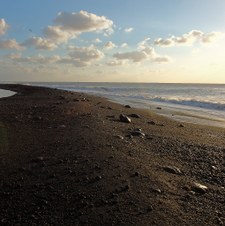 Enlarge photo 56