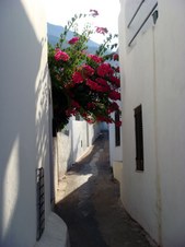 Enlarge photo 60