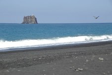 Enlarge photo 61