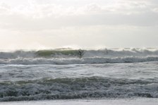 Enlarge photo 42