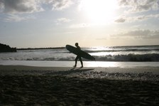 Enlarge photo 45