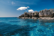 Enlarge photo 20