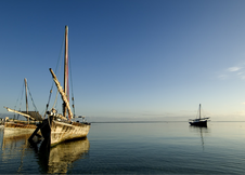 Enlarge photo 31