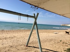 Enlarge photo 21