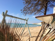 Enlarge photo 23