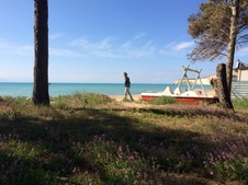 Enlarge photo 24