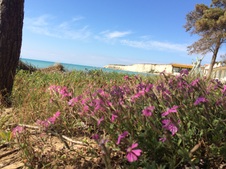 Enlarge photo 25