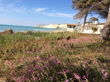 Enlarge photo 26