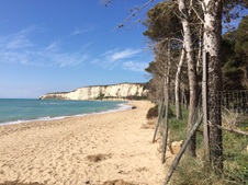 Enlarge photo 30