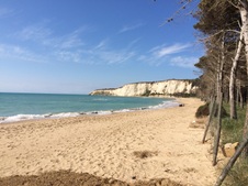 Enlarge photo 31