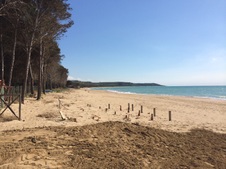 Enlarge photo 32