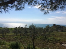 Enlarge photo 33